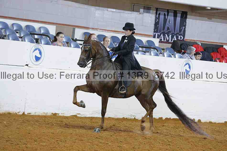 Proof 13r9_6742
