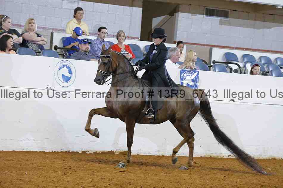 Proof 13r9_6743