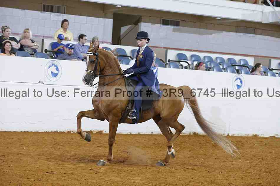 Proof 13r9_6745