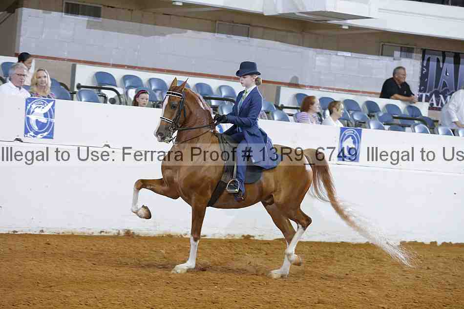 Proof 13r9_6749