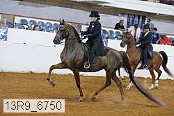 13r9_6750 proof