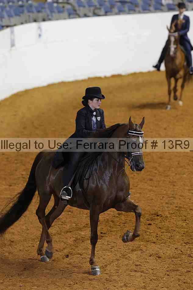 Proof 13r9_6751