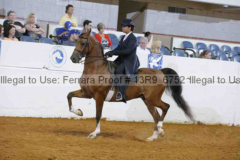Proof 13r9_6752