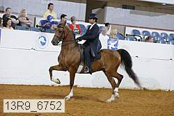 13r9_6752 proof
