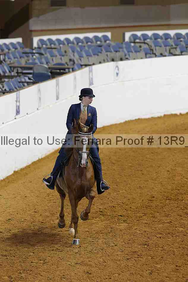 Proof 13r9_6753