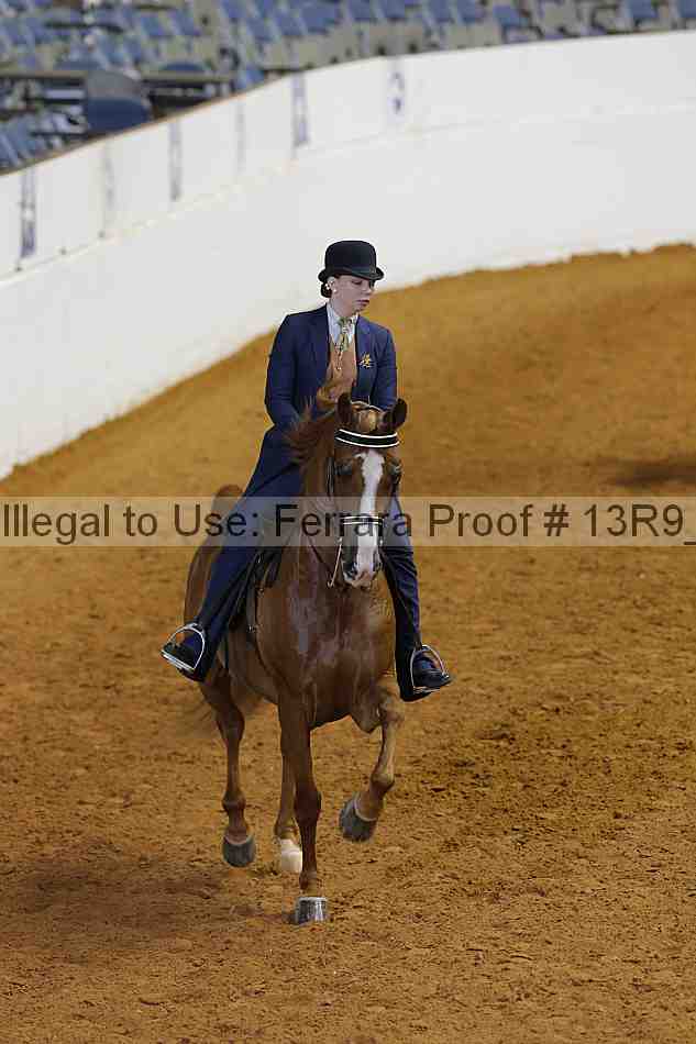 Proof 13r9_6755
