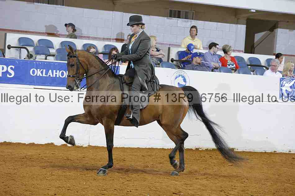 Proof 13r9_6756