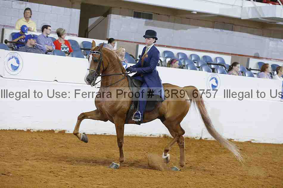 Proof 13r9_6757