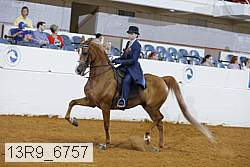 13r9_6757 proof