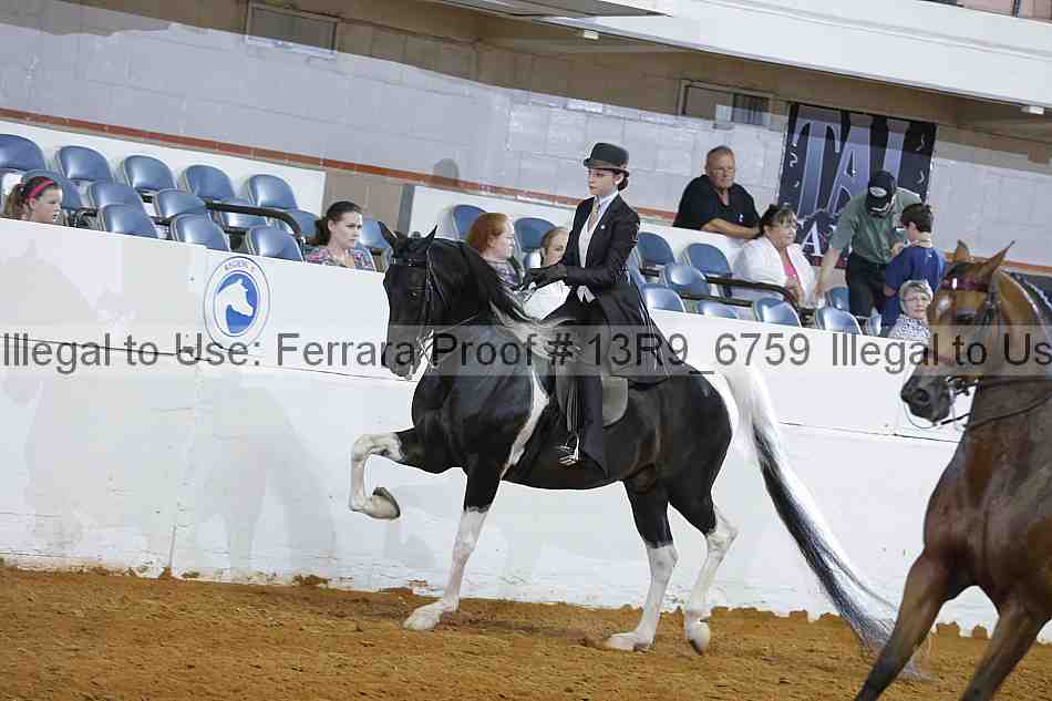Proof 13r9_6759