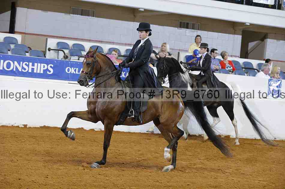 Proof 13r9_6760