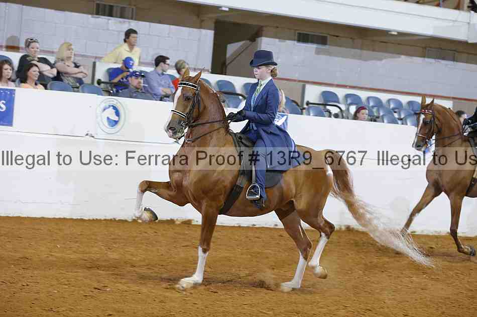 Proof 13r9_6767