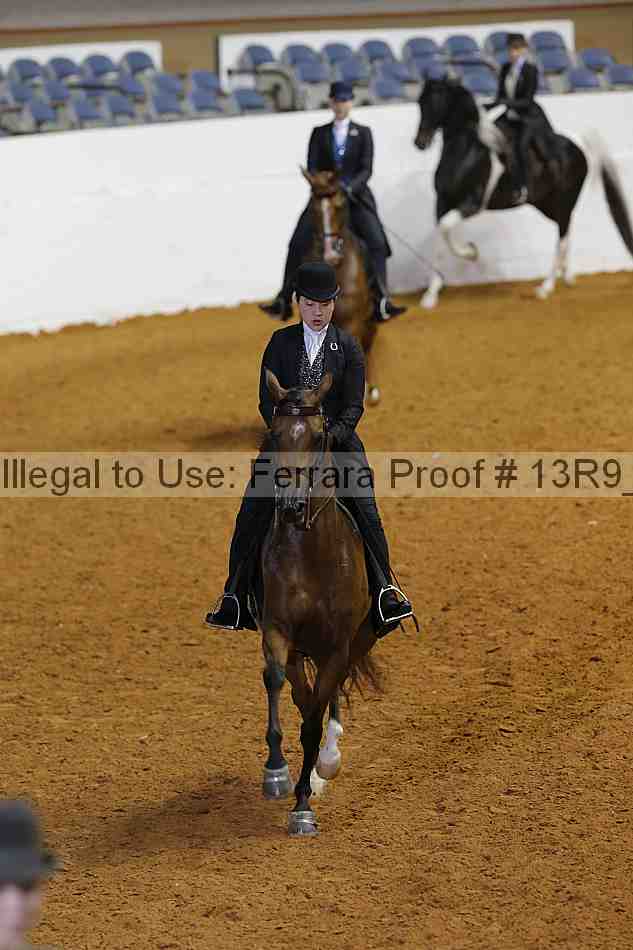 Proof 13r9_6770