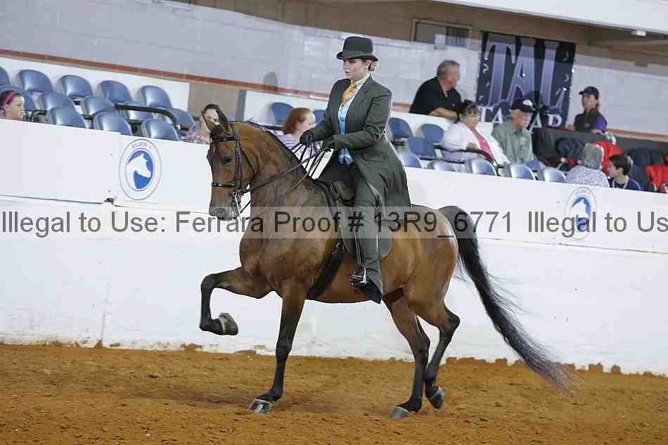 Proof 13r9_6771