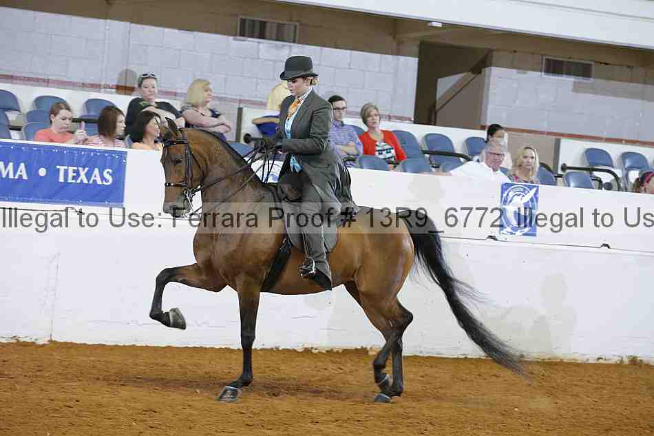 Proof 13r9_6772