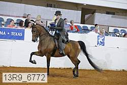 13r9_6772 proof