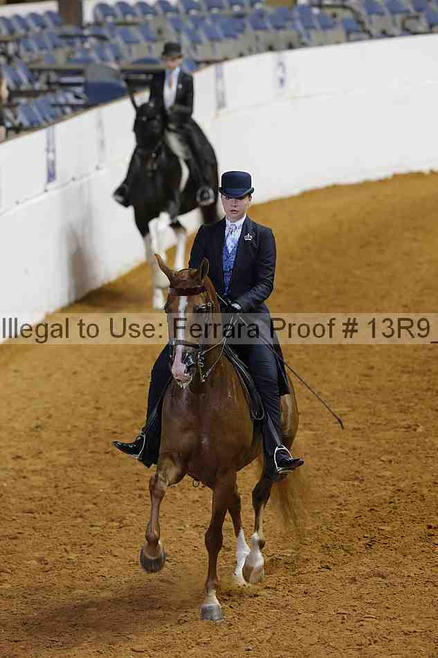 Proof 13r9_6773