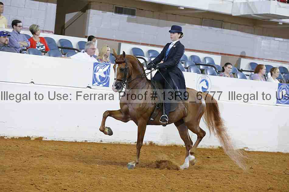 Proof 13r9_6777