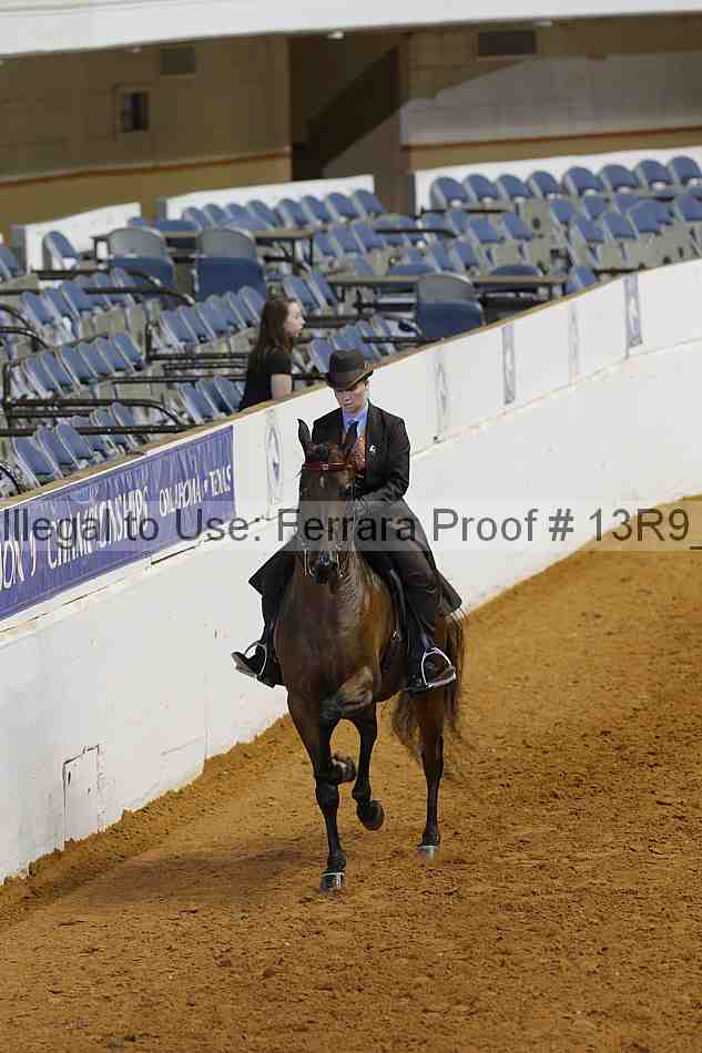 Proof 13r9_6778