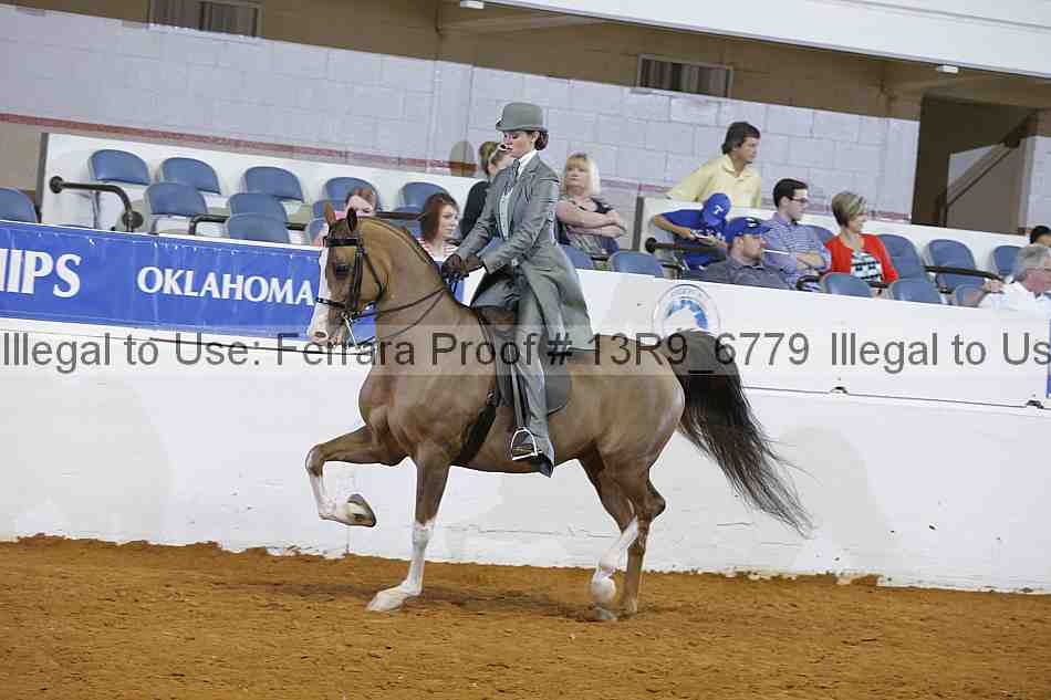 Proof 13r9_6779