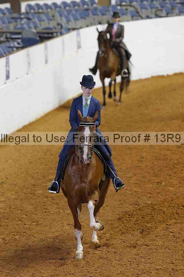 Proof 13r9_6780