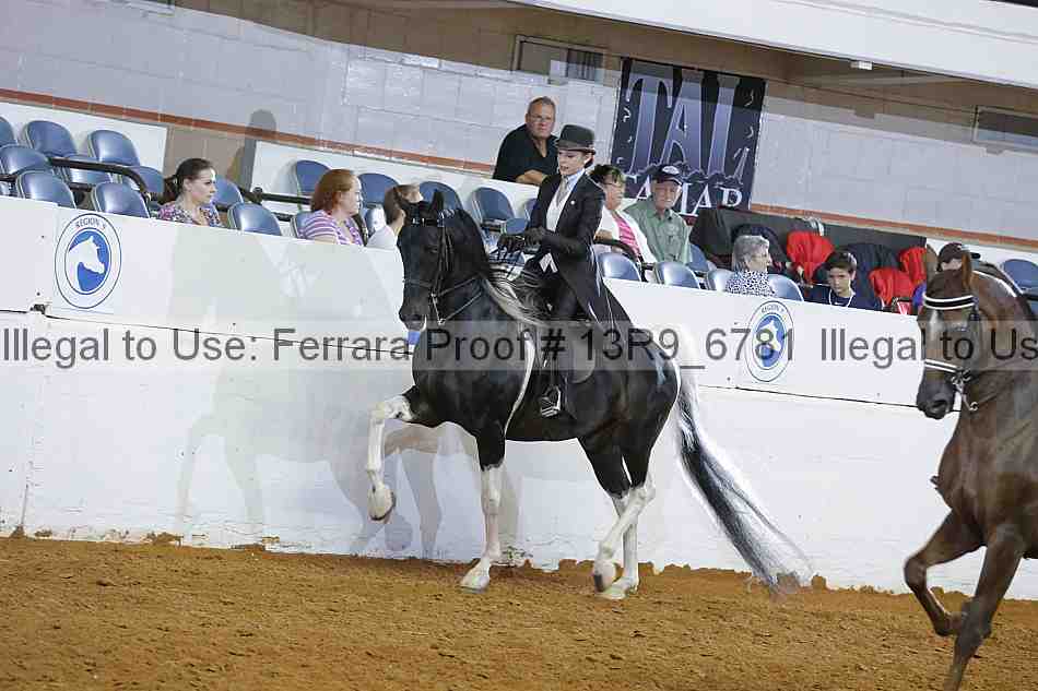 Proof 13r9_6781
