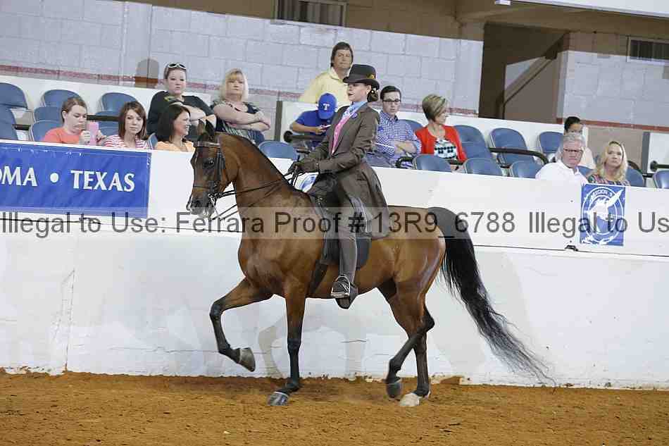 Proof 13r9_6788