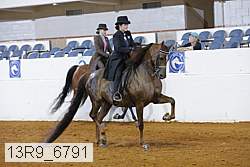 13r9_6791 proof
