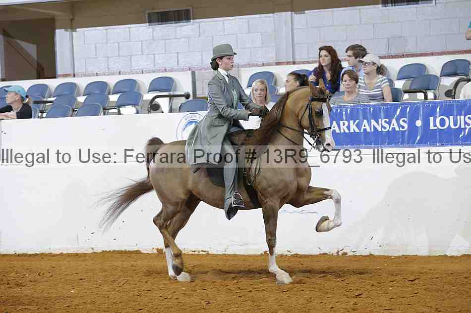 Proof 13r9_6793