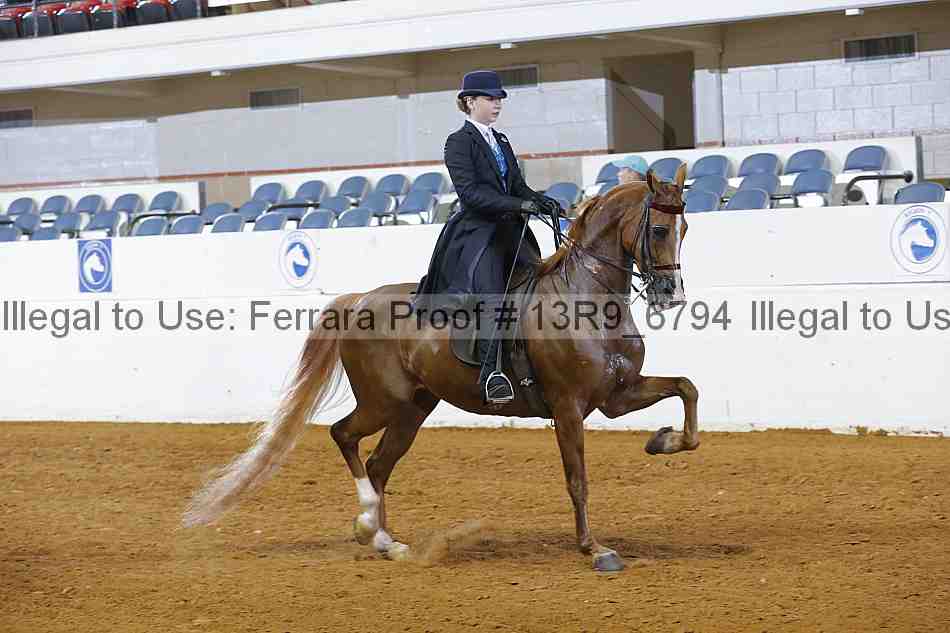 Proof 13r9_6794