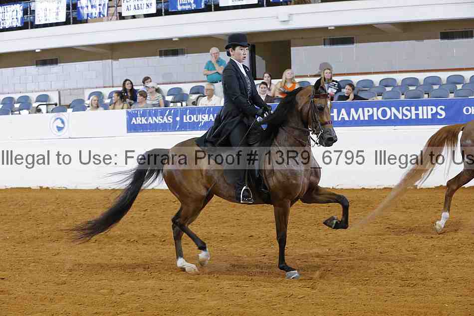 Proof 13r9_6795