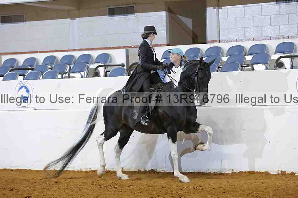 Proof 13r9_6796