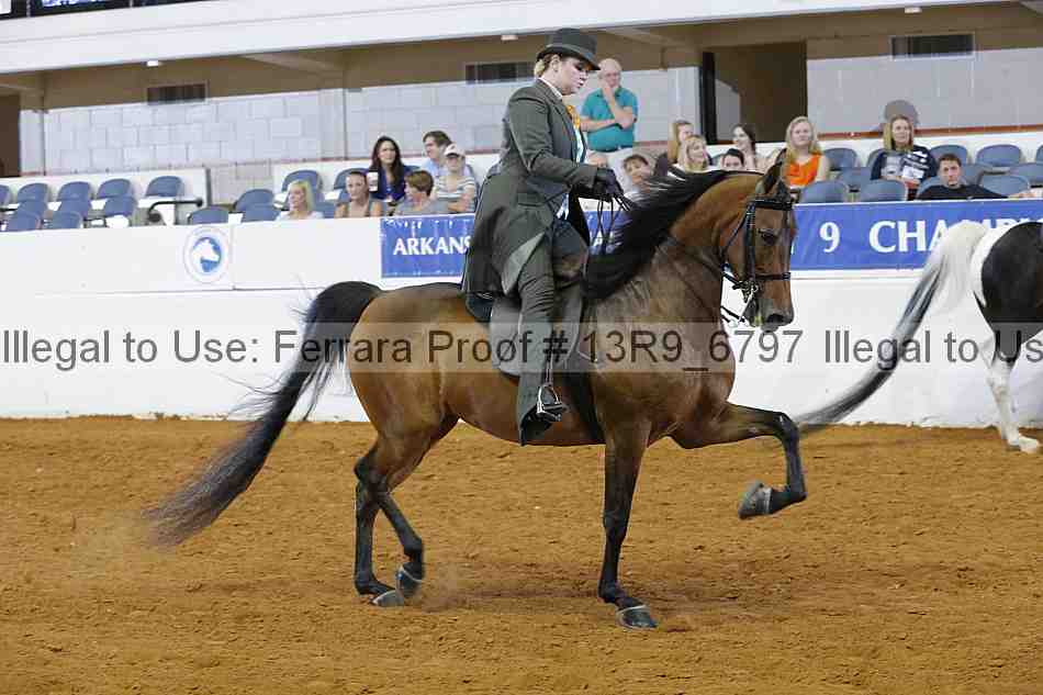 Proof 13r9_6797