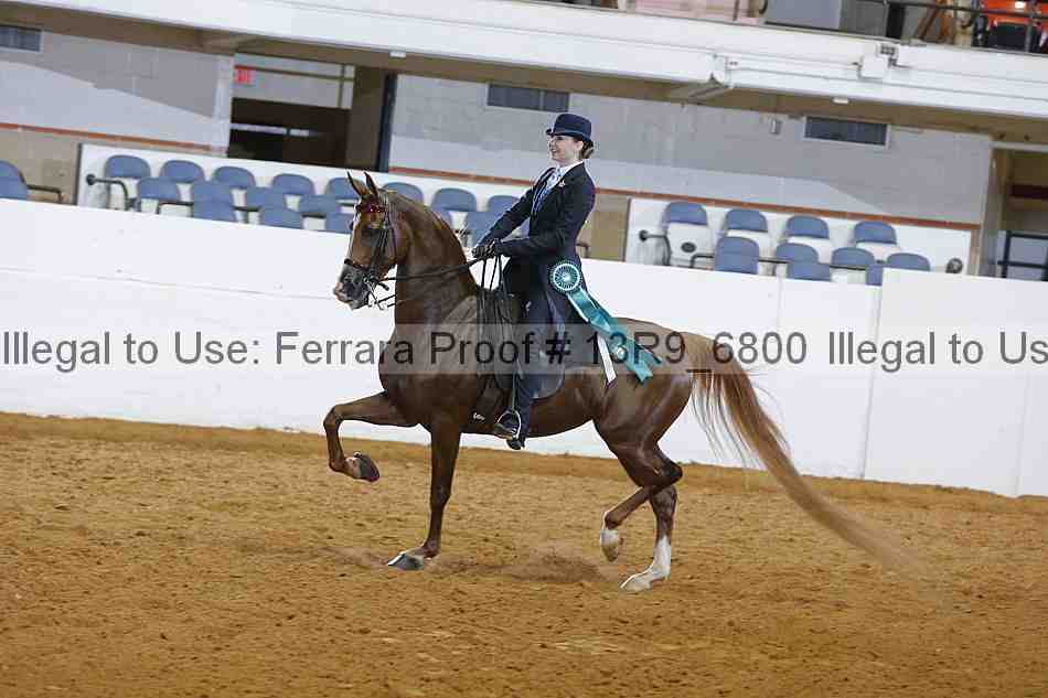 Proof 13r9_6800