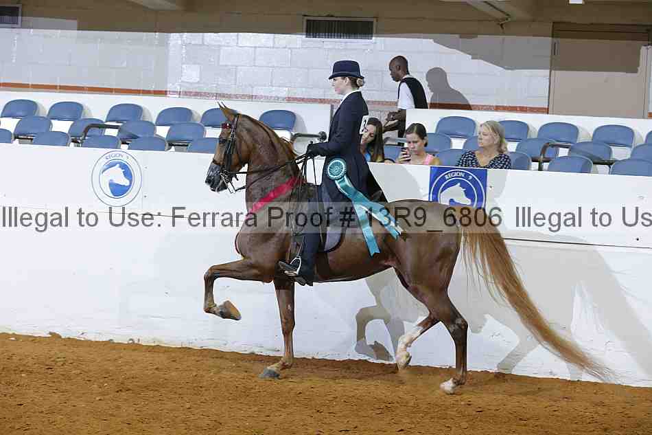 Proof 13r9_6806