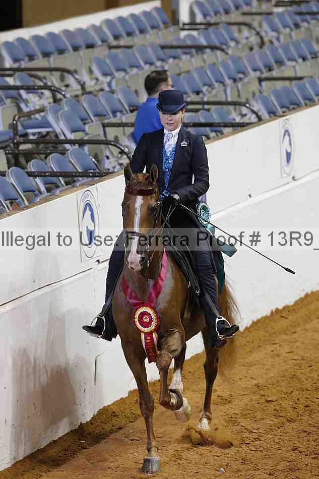 Proof 13r9_6807