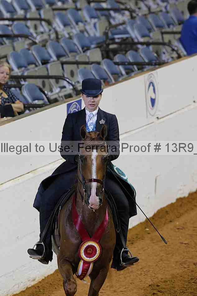 Proof 13r9_6808
