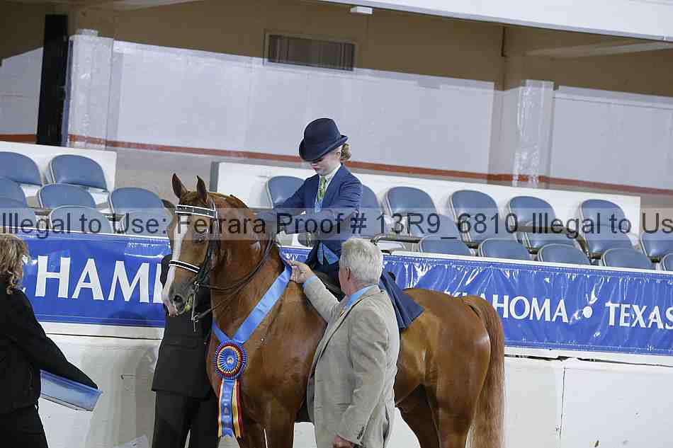 Proof 13r9_6810