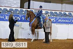 13r9_6811 proof