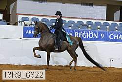 13r9_6822 proof