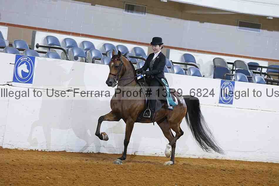 Proof 13r9_6824