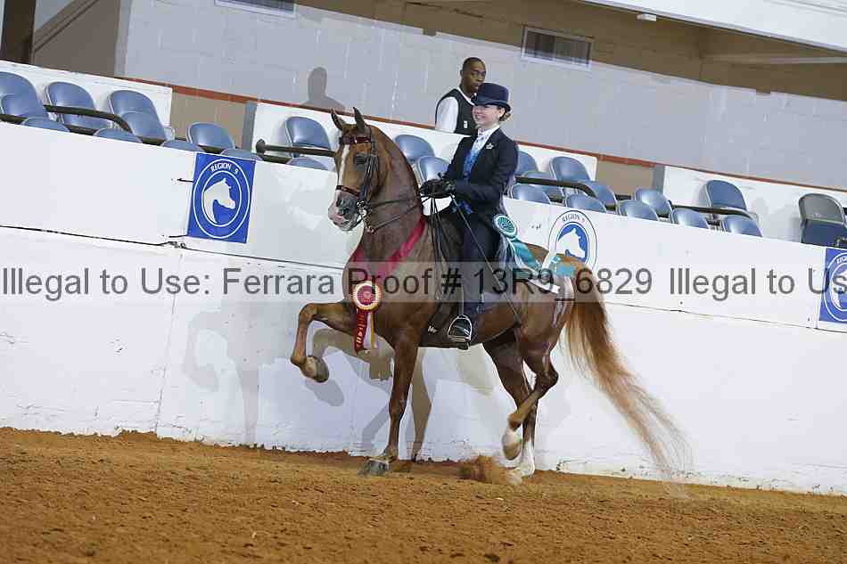 Proof 13r9_6829