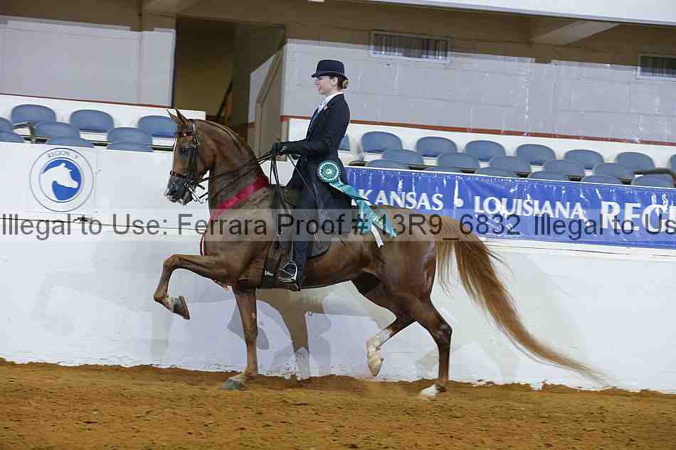 Proof 13r9_6832