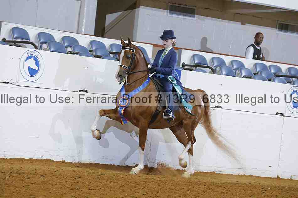 Proof 13r9_6833