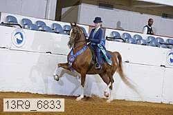 13r9_6833 proof