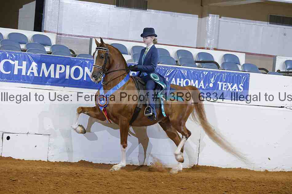 Proof 13r9_6834