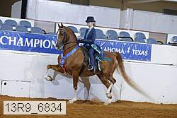 13r9_6834 proof