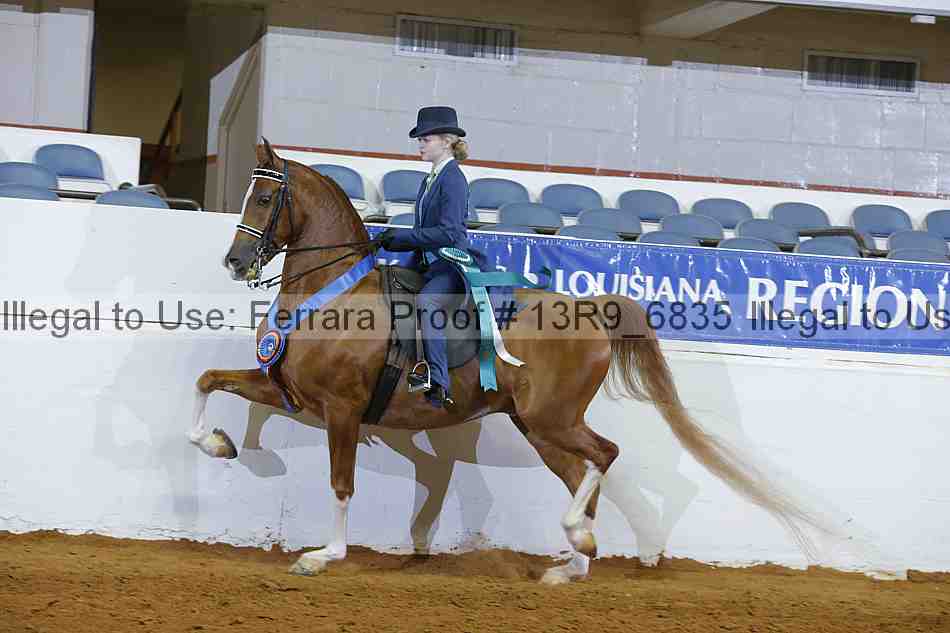 Proof 13r9_6835