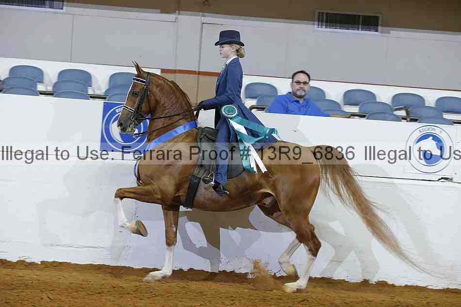 Proof 13r9_6836