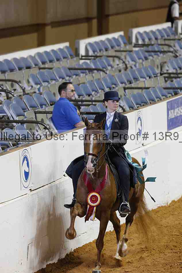 Proof 13r9_6839